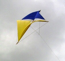 Dahl in his patent:
"Self balancing kite. Parts are connected together with sufficient flexibility to permit an automatic adjustment to the wind."
